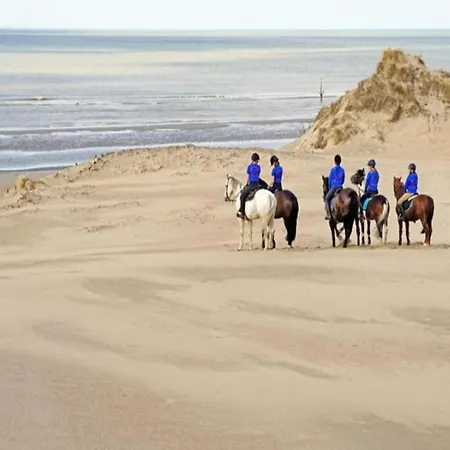 Διαμέρισμα Penthouse In With Sea View De Haan