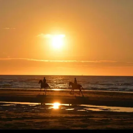Penthouse In With Sea View *