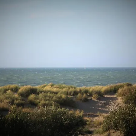 Penthouse In With Sea View De Haan